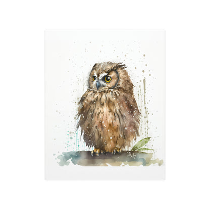 Watercolor Owl - Poster